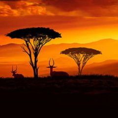 kumzble2's profile picture. 