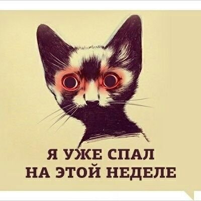 Grath_Tikki_Mic's profile picture. 