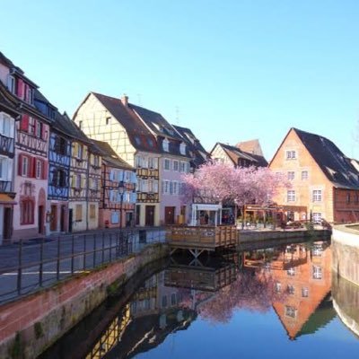 Amuuy_Alice's profile picture. 空から一兆円降ってこないかなぁ。 非課税で。