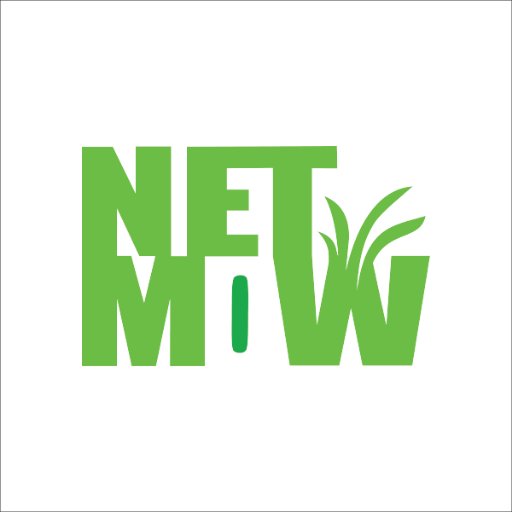 NETMOW is a Gold Coast online digital marketing squad with a single-line commitment to enhance your company’s presence online and ranking in the search engines