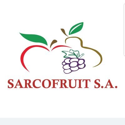 Somos una Compañia Ecuatoriana dedicada a la comercializacion de frutas importadas...