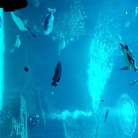 Chris M (@maakal) 's Twitter Profile