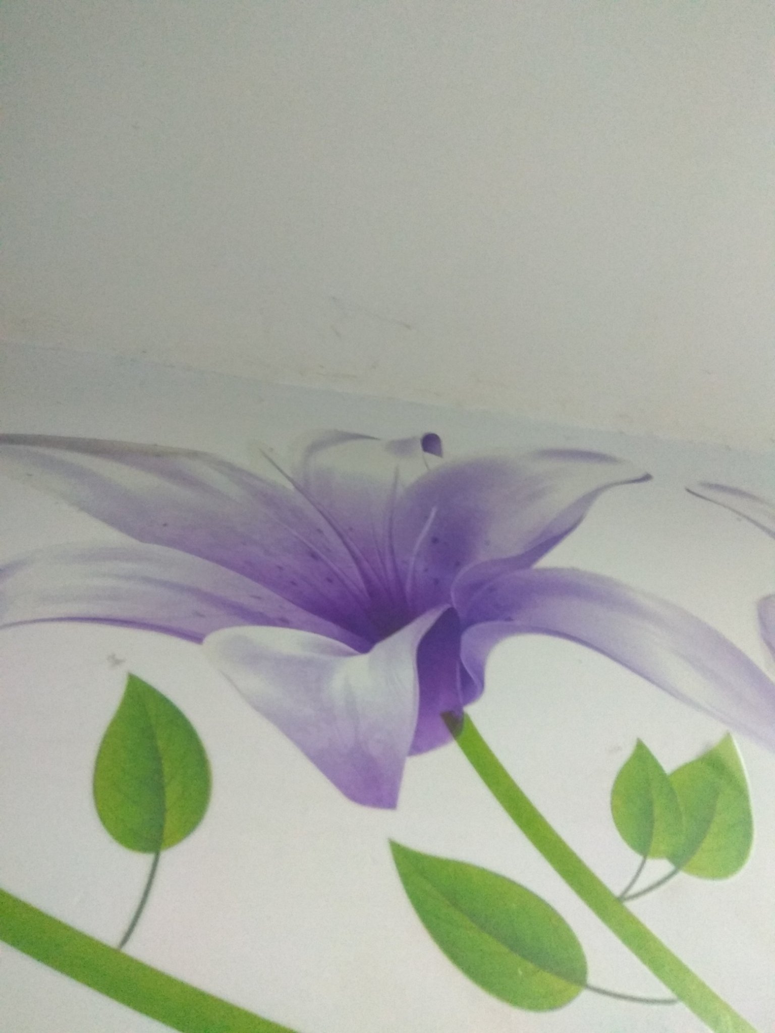 kingconquer71's profile picture. Make a big big dream！！