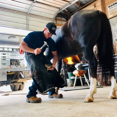 Hoof Care Clinician, Motivational Speaker, Therapeutic Farrier at ESMS Vet Clinic, AFA Certified Journeyman Farrier