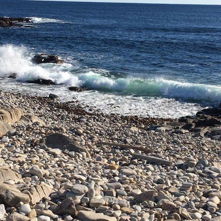 WeAreNS1's profile picture. Creating a sustainable, green economy for Nova Scotia!