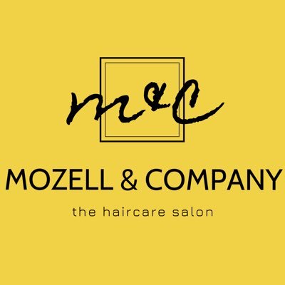 Premier Healthy Hair Focused Salon! Is your hair: 🔸Dry & Brittle? 🔸Breaking Off? 🔸Dull & Thin? You need Moisture Therapy at Mozell & Company