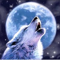 barkatthemoon1s (@barkatthemoon11) 's Twitter Profile Photo barkatthemoon1s (@barkatthemoon11) 's Twitter Profile Photo