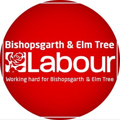 Sharon Bailey and Owen Riddle are your labour team in Bishopsgarth and Elm Tree