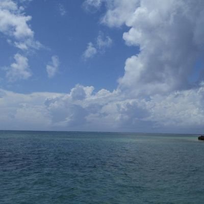 Ed_feti's profile picture. 縛り手/rope/shibari/緊縛/縄/一縄会