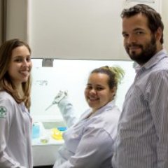 Our group is interested in understanding how the cellular components of different tissues function and control disease progression.