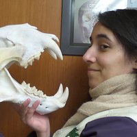 Olivia Pellicer (@opellisms) 's Twitter Profile