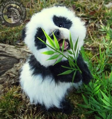 Just a girl who loves pandas, owls, music, movies, TV Shows and did I say pandas?