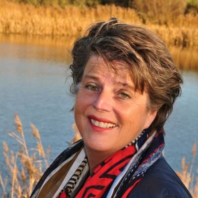 TheaDraijer's profile picture. Interim (proces)manager/teamdynamiek. Resultaat & Plezier. Deep Democracy/conflict&polarisatie/ACT/Deeper Discovery.