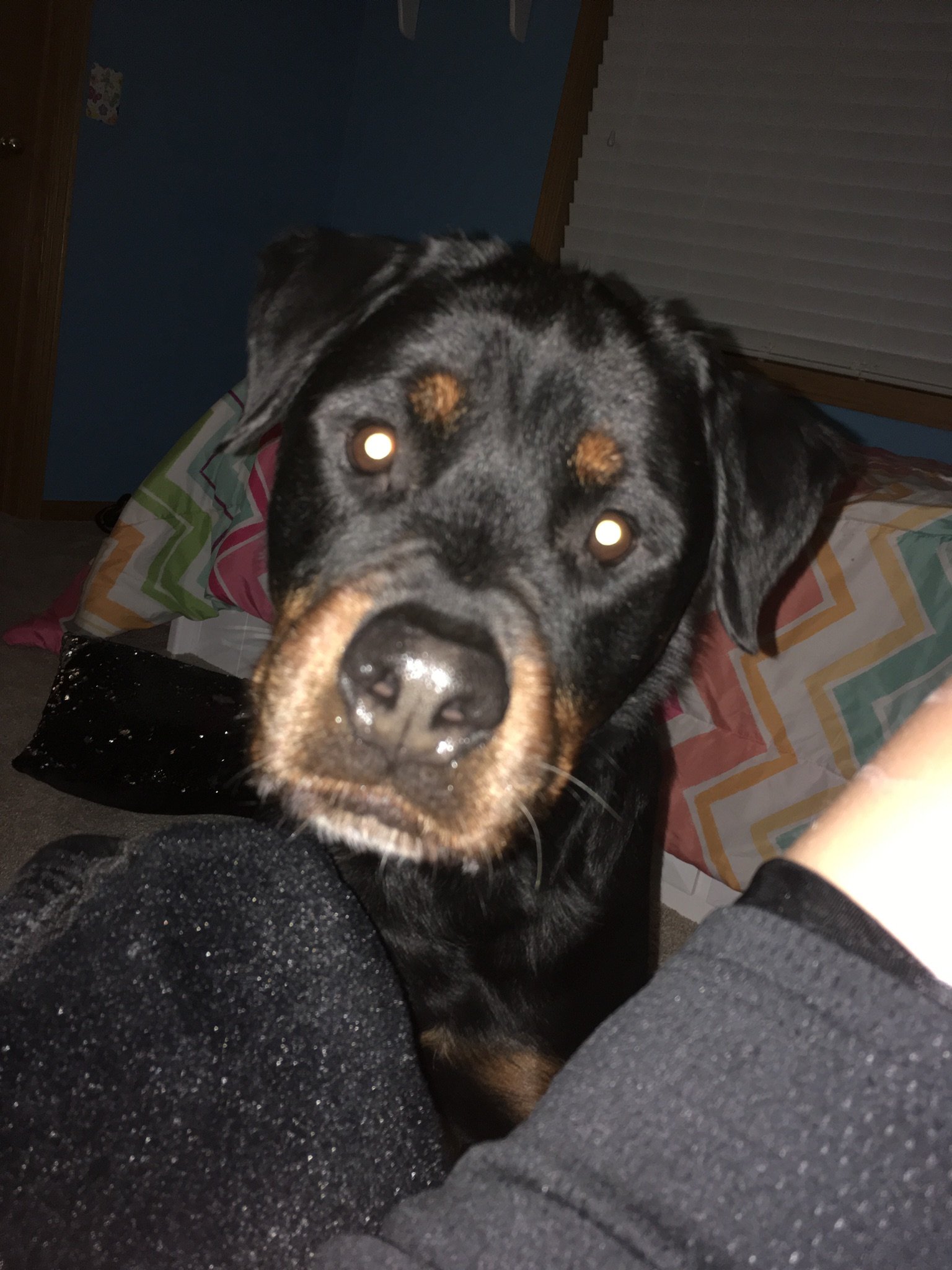 hj63541475's profile picture. From Texas country and army. music!