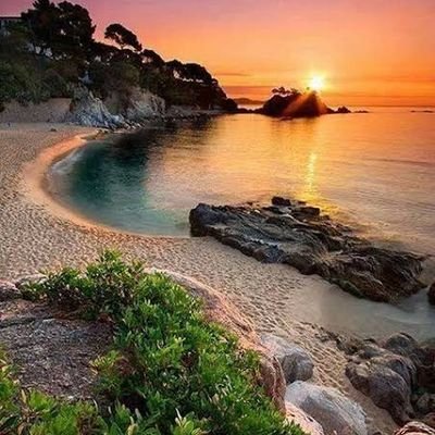 istanbul_121's profile picture. زواج شرعي ومسيارخطابة جادة في تركيا اسطنبول 
يوجد بكر أرامل مطلقات 
عوائل سوريات الجنسية

00905386318697