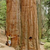 Fra il Chimico (@fra_il_chimico) 's Twitter Profile Photo