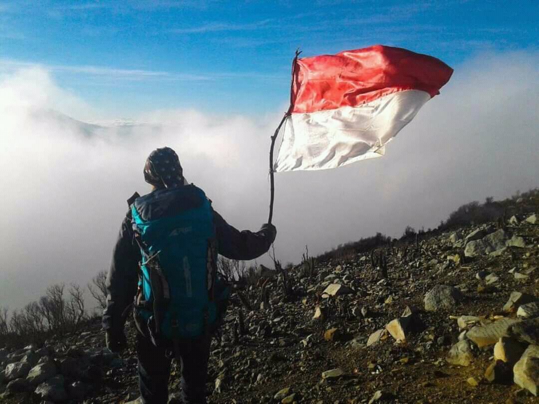 Ingin jadi penulis
