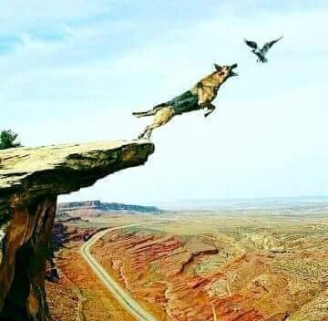 MahinderModia's profile picture. Advocat