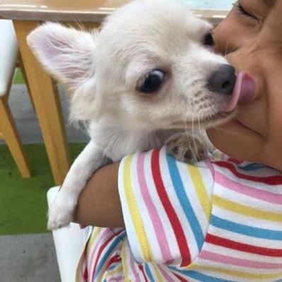 avantitimtam's profile picture. リーマンショックの時に、株式ファンドや先物取引などで約１０００万円の損失を経験しました。その後は独学で分散投資を学び、ドルコスト平均法を使った積立投資や、ＦＸによる異業者両建てなどで約５００万円ほどの利益を得られるようになりました。最近は、ＦＸやＥＴＦの自動売買や、仮想通貨の積立投資による資産運用をしています。