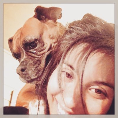 Andy_Terreros's profile picture. 