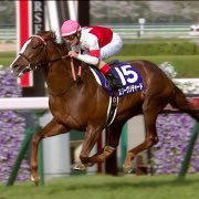 oeC6lf4S3N0yynn's profile picture. 競馬好きな人フォローお願いします！競馬歴2年 スワーヴリャード シュヴァルグラン グレーターロンドン 福永祐一 いろんな人の意見参考にしたいです！