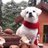 ppppdha's profile image