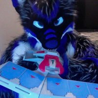 winter (@snowthewolf9) 's Twitter Profile