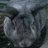 Madi_nRoly Profile image