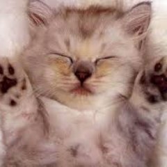 Orchid63215599's profile picture. #박형식 @CwrNew @jamesmaofficial ▪️고아라 📌 love/hate relationship with social media 📚📷🎻🎤🍲💷💳 เรียงลำดับความชอบก็ตามนี้➡️ เพลง ▶️หนัง ▶️หนังสือ ▶️ซีรีส์