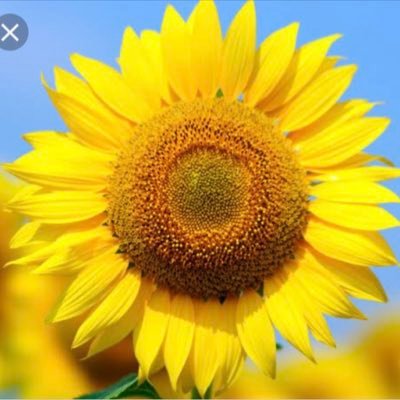 sunday06061500's profile picture. 