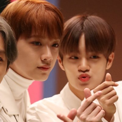 #판휘 귀요미들(˚ ˃̣̣̥⌓˂̣̣̥ )