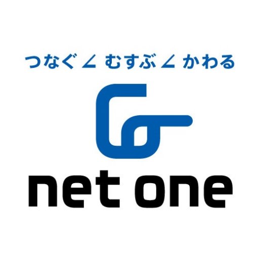NetOneSystems Profile Picture