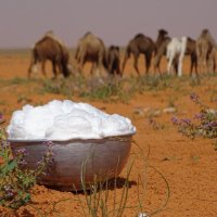 شايم الحربي (@marten3525) 's Twitter Profile Photo