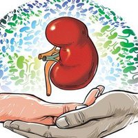 Paediatric Kidney Transplantation Symposium (@transplant4kids) 's Twitter Profile Photo Paediatric Kidney Transplantation Symposium (@transplant4kids) 's Twitter Profile Photo