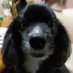 牙狼slash (@slash62537466) Twitter profile photo 牙狼slash (@slash62537466) Twitter profile photo