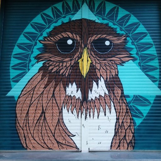 Chamberiacum's profile picture. lpauluslevet