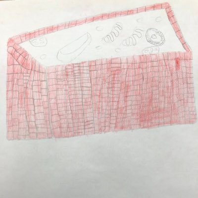 CellwallI's profile picture. I am the cell wall the most important part of the cell. Vote for me December fifth and show all the other cell parts who is boss