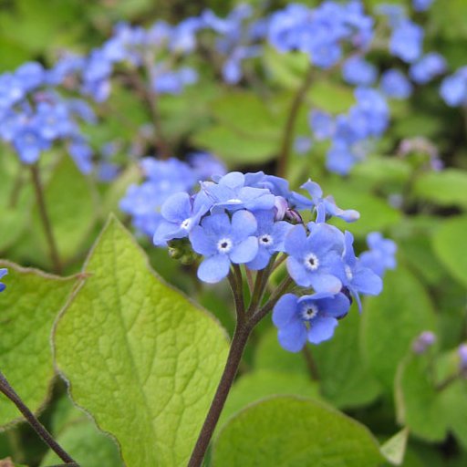 mikec4you's profile picture. Open minded. Personal Freedom within reason, care of others. 🇹🇼 🇸🇪🇺🇦