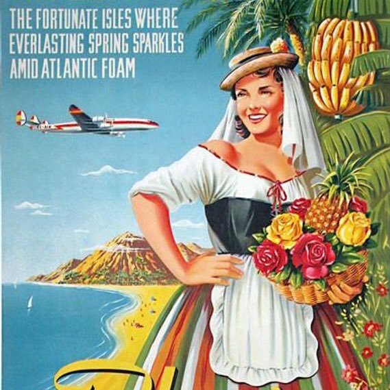 MTaderella's profile picture. Sin saber estar o elegancia tropical.