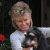 Summerwinds BIS LLC (@summerwindsbis) 's Twitter Profile