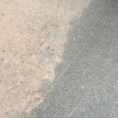 Ravita_singh's profile picture. proud human!!!!