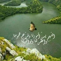 Ala'a Moh (@aarald1982) 's Twitter Profile