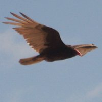 4fin (@derf4fing) 's Twitter Profile