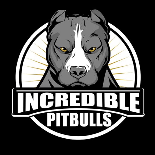 Professional dog trainer and Pitbull enthusiast. Follow me for Pitbull training tips including how to train pitbull puppies.