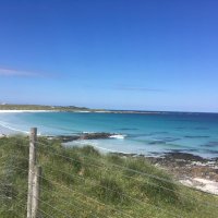 Joyce Adams (@joyceadamsot) 's Twitter Profile Photo