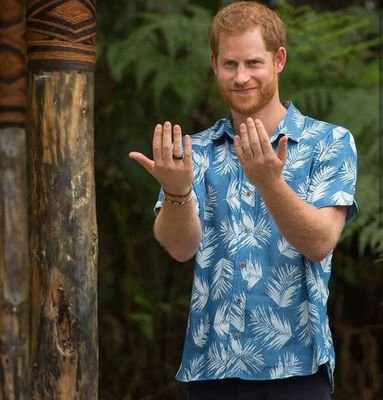 am Prince Harry of Wales, the son of Prince Charles and Princess Diana, I'm the Grand Son Of Queen Elizabeth of England,You Have Nothing to Be Confused At All