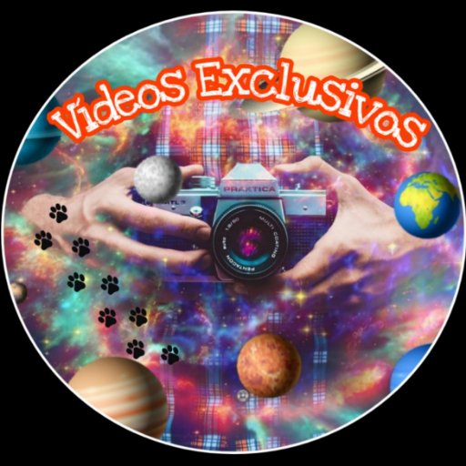 VideosExclu's profile picture.