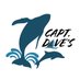 CaptDavesWhaleWatching (@DolphinSafari) Twitter profile photo