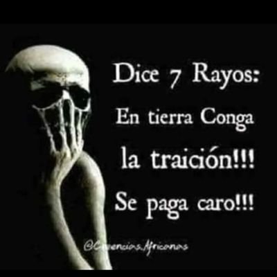 paracailoco86's profile picture. 