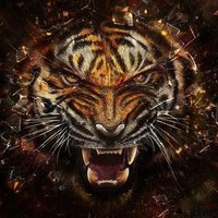 🇮🇩@the_tiger9🇮🇩(@the_tiger9) 's Twitter Profileg